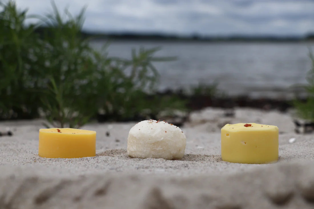 Shampoo bar, Havtorn - Kystnær